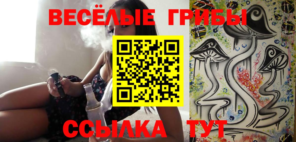 Псилоцибиновые грибы мицелий Ейск