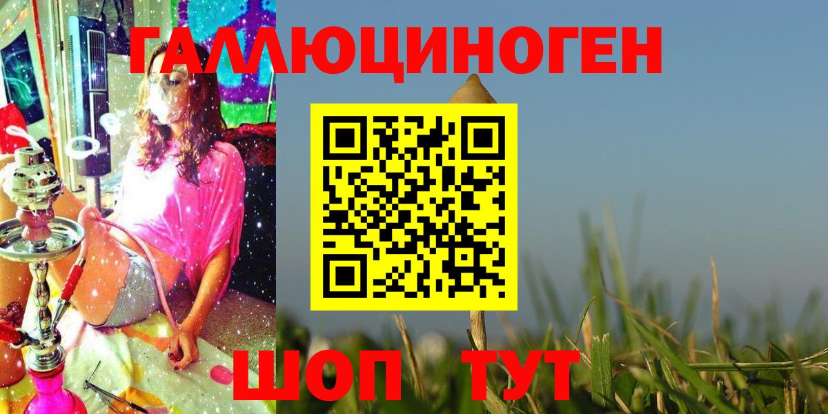 Псилоцибиновые грибы GOLDEN TEACHER  Вход с VPN  Ейск 